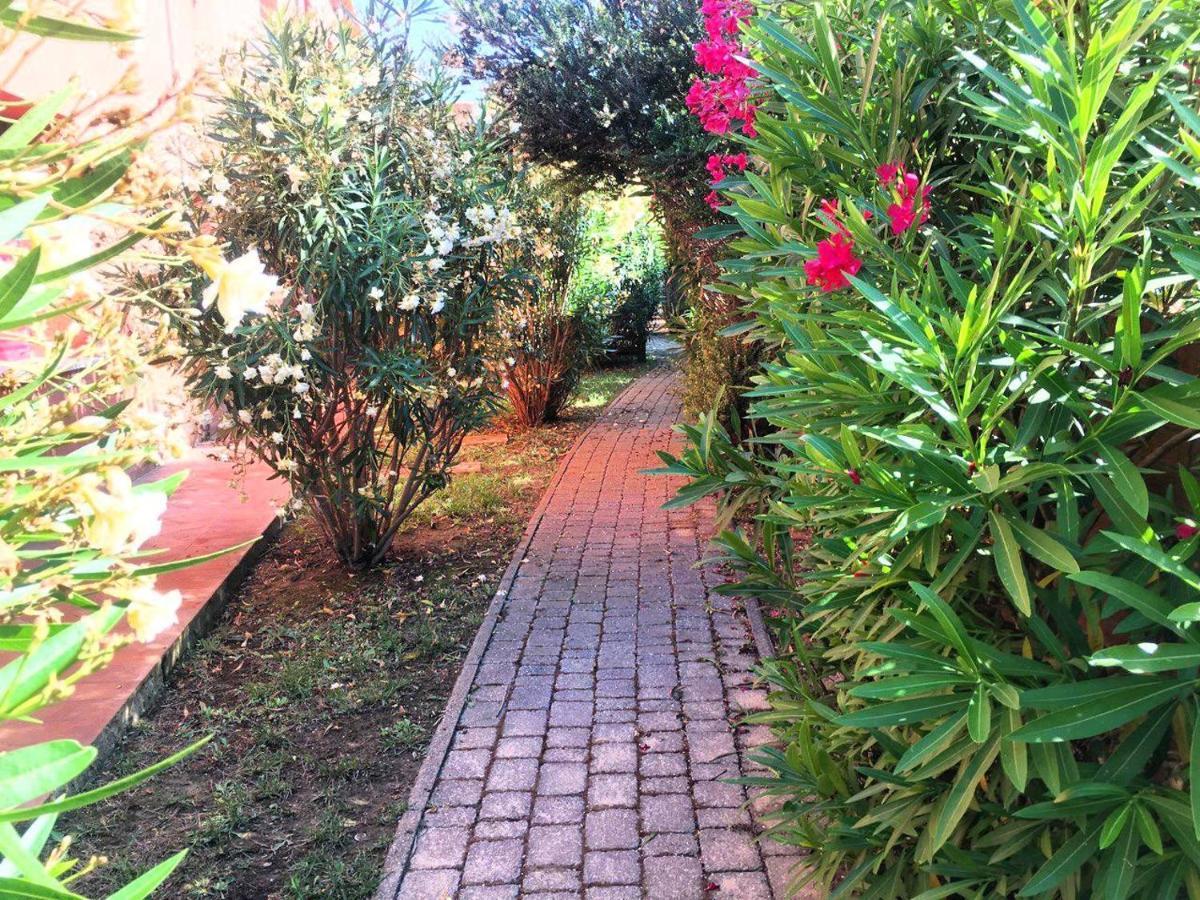 Regina Del Mare Holiday Apartments Tirrenia Ngoại thất bức ảnh